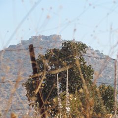 IMG_6832