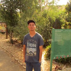 Tanur