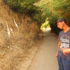 IMG_6754
