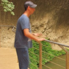 IMG_6761