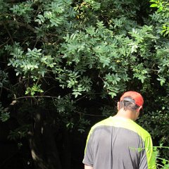 IMG_6560