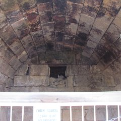 IMG_6576