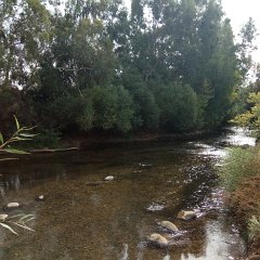 IMG_20171118_103241