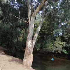 IMG_20171118_103500