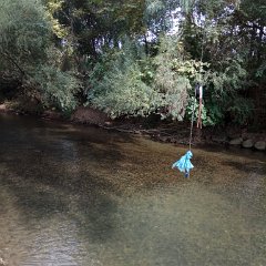 IMG_20171118_103515