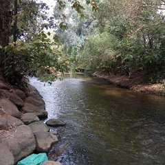 IMG_20171118_103919