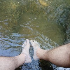 IMG_20171118_115616