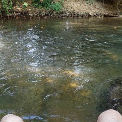 IMG_20171118_115625