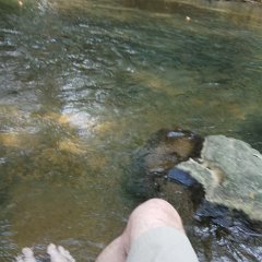 IMG_20171118_115628