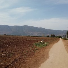 IMG_20171118_122410