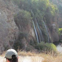 IMG_6936