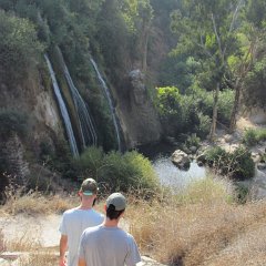 IMG_6937