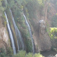 IMG_6939