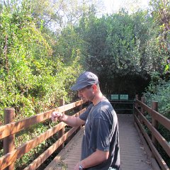 IMG_6966