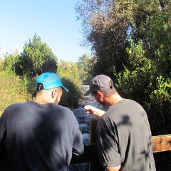 IMG_6967