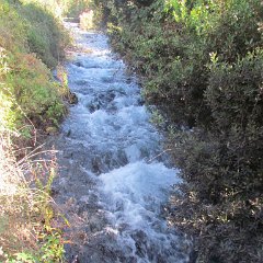 IMG_6968