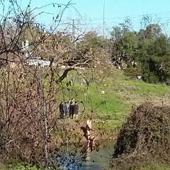 IMG_20170106_101108