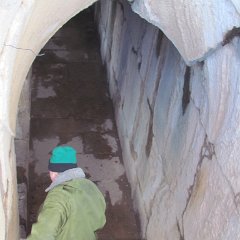IMG_6390