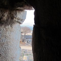 IMG_6393