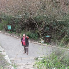 IMG_6414