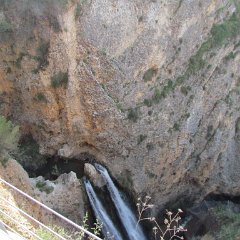 IMG_6425