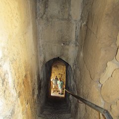 IMG_6640