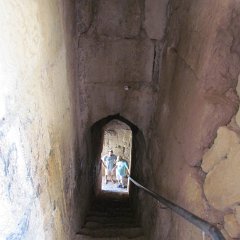 IMG_6641