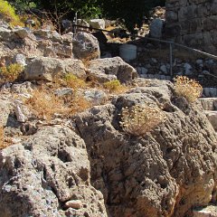 IMG_6649