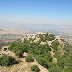 IMG_6654