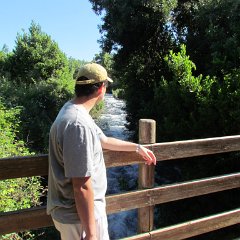 IMG_6601