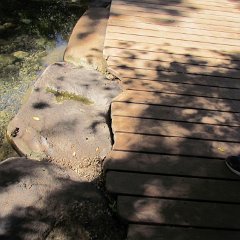 IMG_6611