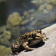 IMG_6613