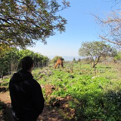 IMG_6467