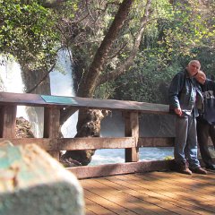 IMG_6476