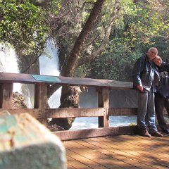 IMG_6477