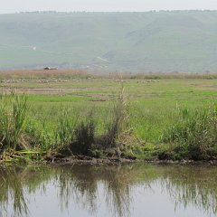 IMG_7107