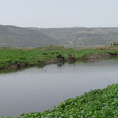 IMG_7111