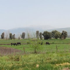 IMG_7121