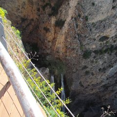 IMG_7090
