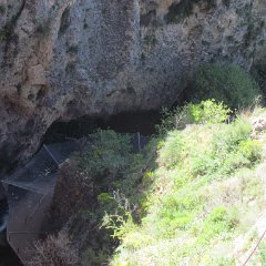 IMG_7091