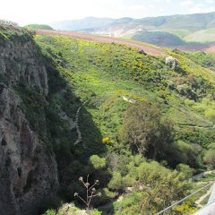 IMG_7092