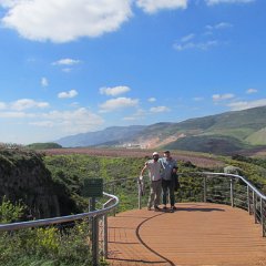 IMG_7097