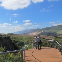 IMG_7098