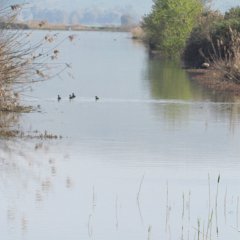 IMG_7053