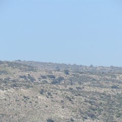 IMG_7065