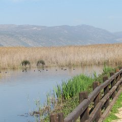 IMG_7066