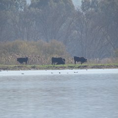 IMG_7071
