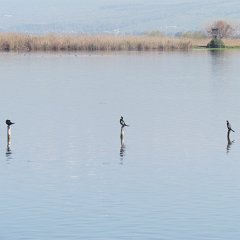 IMG_7073