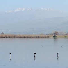 IMG_7074