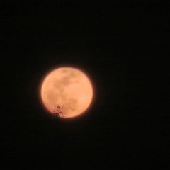 IMG_7049
